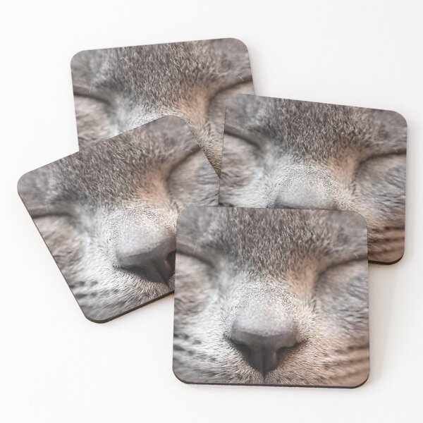 Item preview, Kitten XXI designed and sold by Anne Staub.