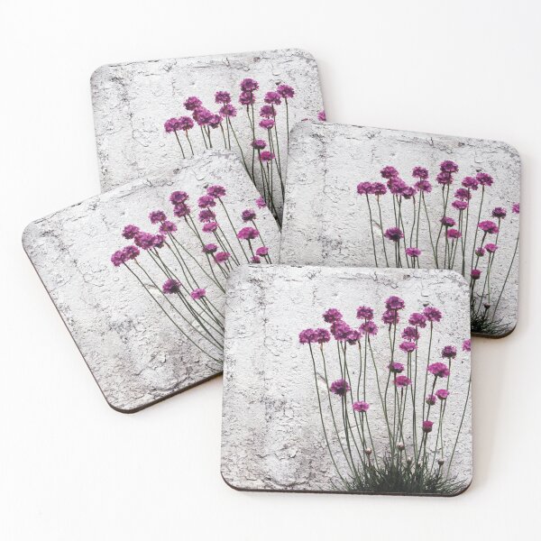 Item preview, Urban garden designed and sold by Anne Staub.