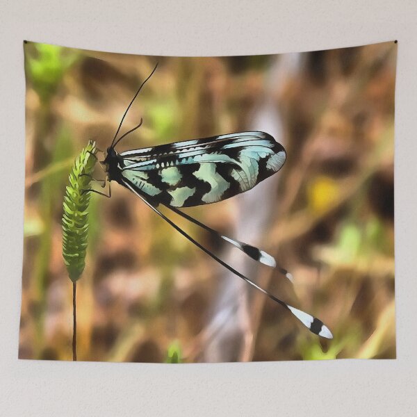 Aperçu de l'œuvre Nemoptera bipennis Art des insectes à ailes cuillères créée et vendue par taiche.