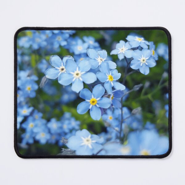 Item preview, Forget me not flowers designed and sold by Wabi Tabby.
