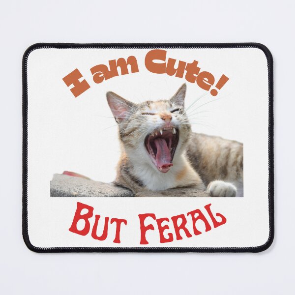Item preview, I Am Cute But I Am Feral Cat designed and sold by SolSel ⭐⭐⭐⭐⭐.
