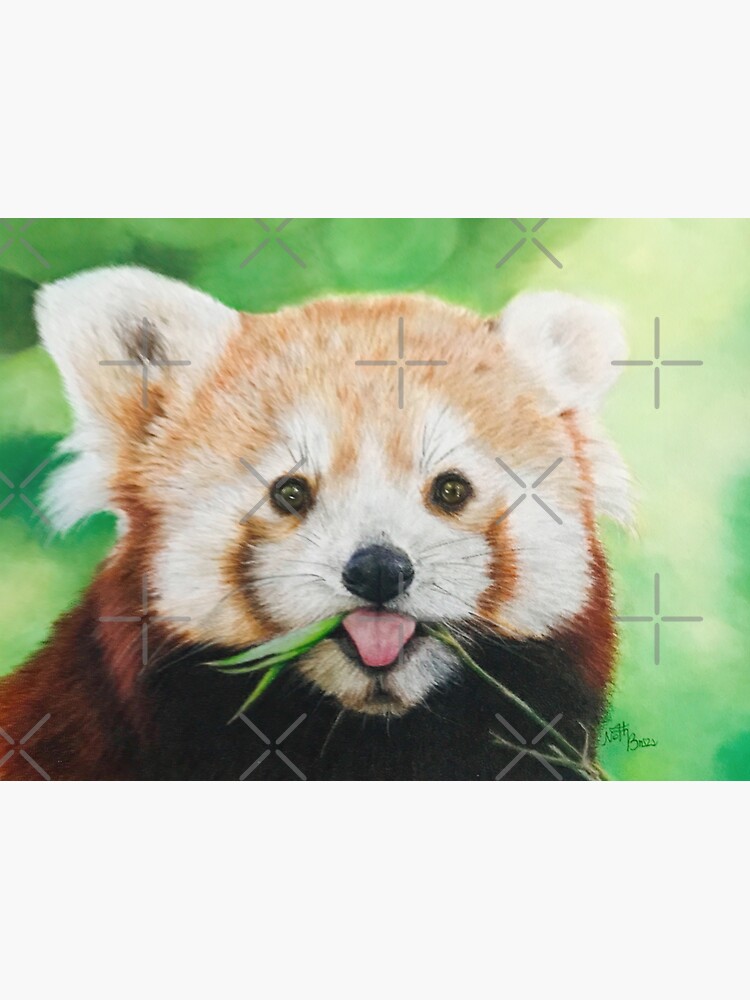 Panda Roux Humour Femme Fille Vie Belle Avec Les Pandas Roux Sweat à Capuche