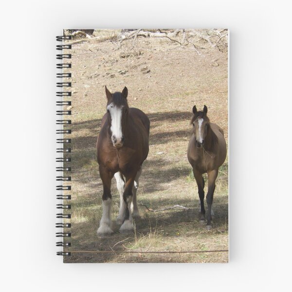 Item preview, Got Food ? designed and sold by jane Mcainsh.