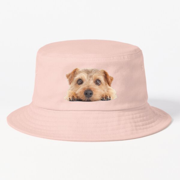Norfolk Terrier Bucket Hat