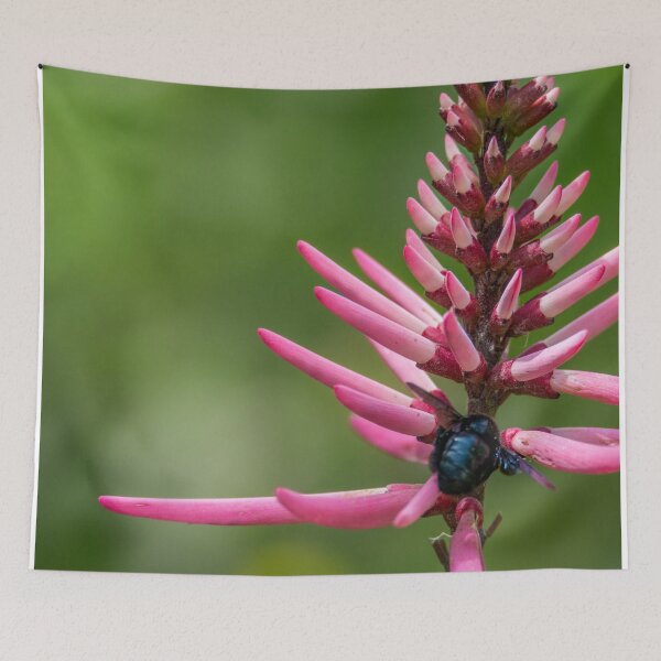 Item preview, Bee Loving Coral Bean Bloom designed and sold by Debra Martz.