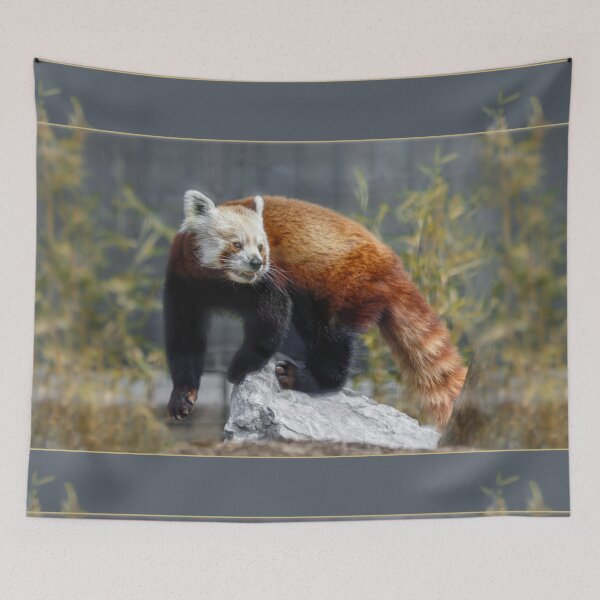 Item preview, Not Black and White But Red All Over designed and sold by Owed To Nature.