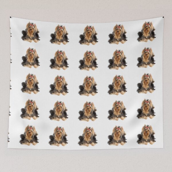 Item preview, Beautiful groomed Yorkshire Terrier designed and sold by photopotam.