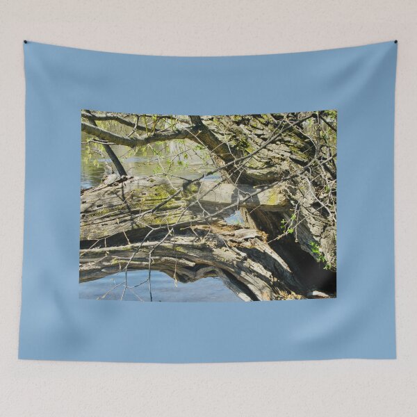 Item preview, Old broken tree branch designed and sold by Shulie1.