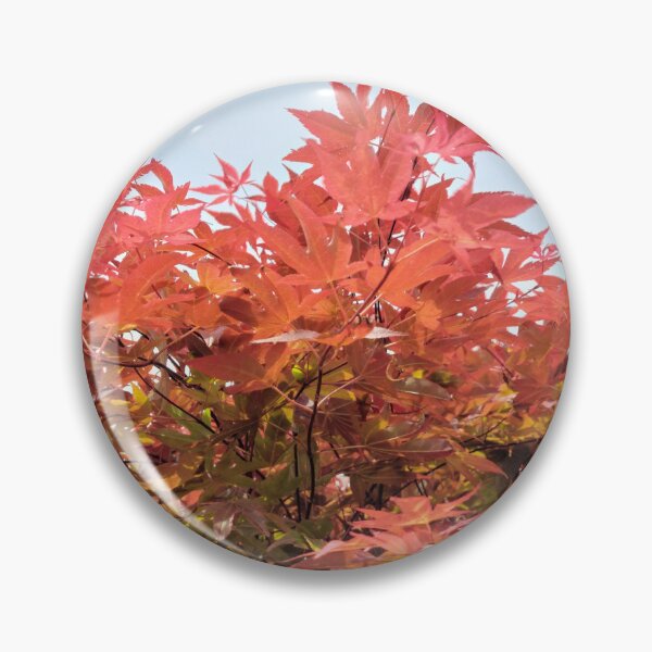 Item preview, Acer designed and sold by jdphotos.
