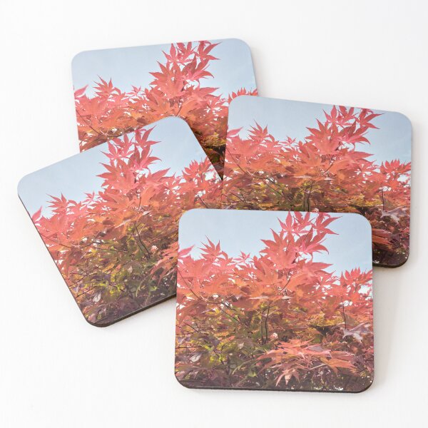 Item preview, Acer designed and sold by jdphotos.