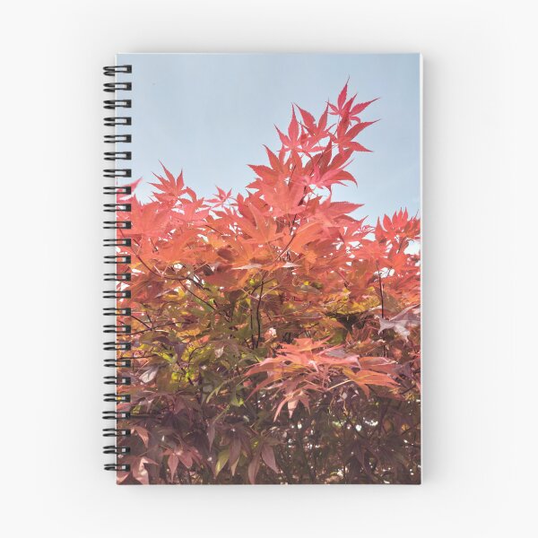Item preview, Acer designed and sold by jdphotos.