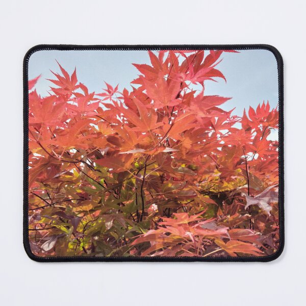 Item preview, Acer designed and sold by jdphotos.