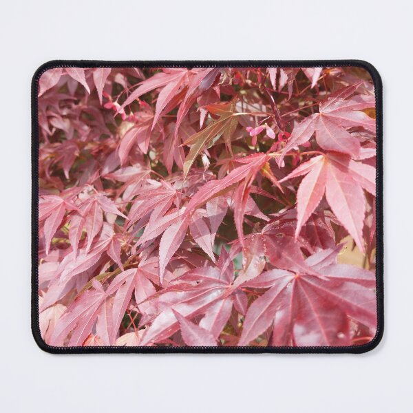 Item preview, Acer leaves designed and sold by jdphotos.