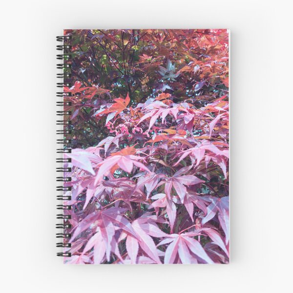 Item preview, Acer leaves designed and sold by jdphotos.