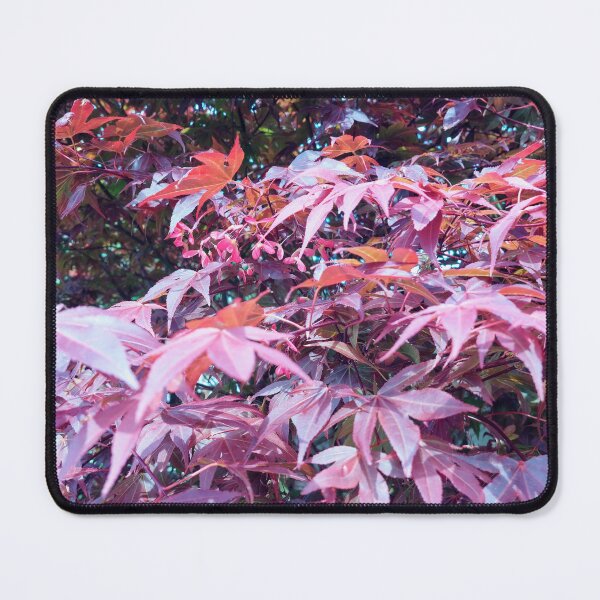 Item preview, Acer leaves designed and sold by jdphotos.
