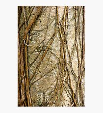 Matted and Plaited Photographic Print