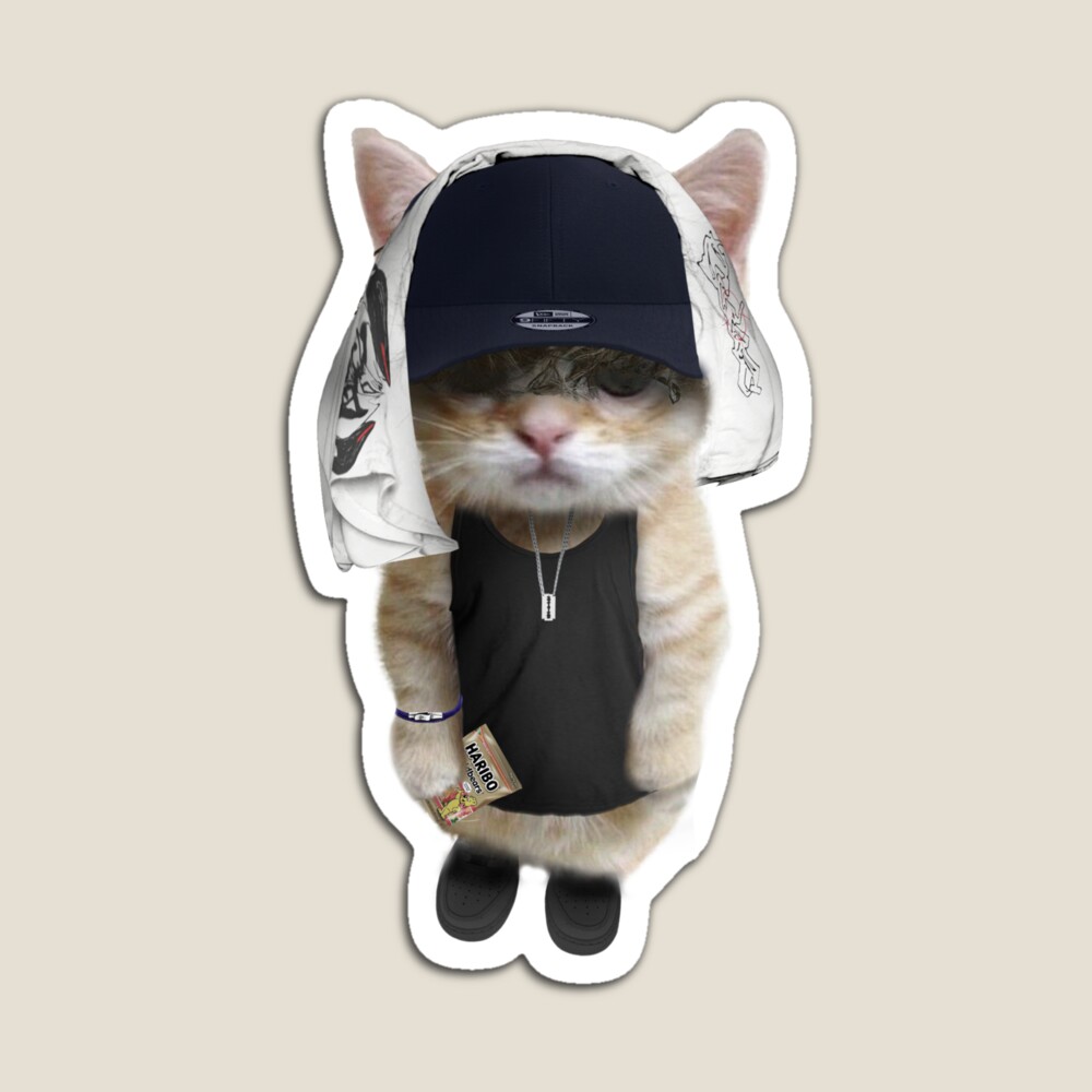 Playboi Kitty Sticker for Sale by drainsupply