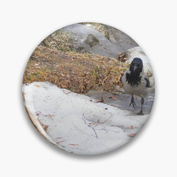 Item preview, Step by step. Hooded crow designed and sold by Jouko Lehto Photography.
