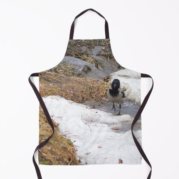 Item preview, Step by step. Hooded crow designed and sold by Jouko Lehto Photography.