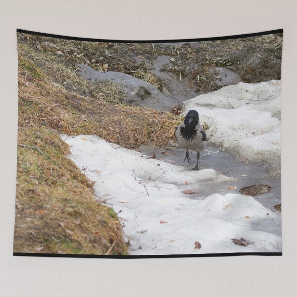 Item preview, Step by step. Hooded crow designed and sold by Jouko Lehto Photography.