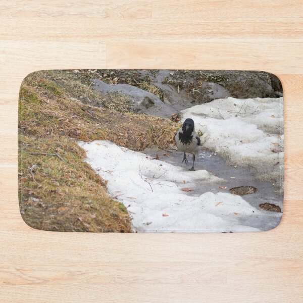 Item preview, Step by step. Hooded crow designed and sold by Jouko Lehto Photography.