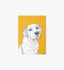 Labrador Dog Portrait Art Board