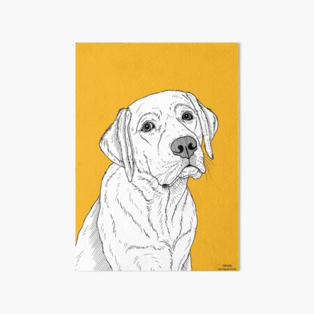 Labrador Dog Portrait Art Board Print