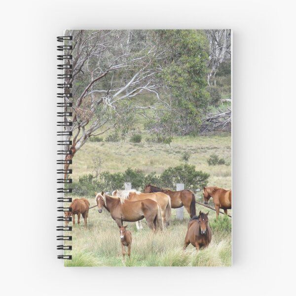 Item preview, Cooinbil Brumbies designed and sold by julie anne  grattan.
