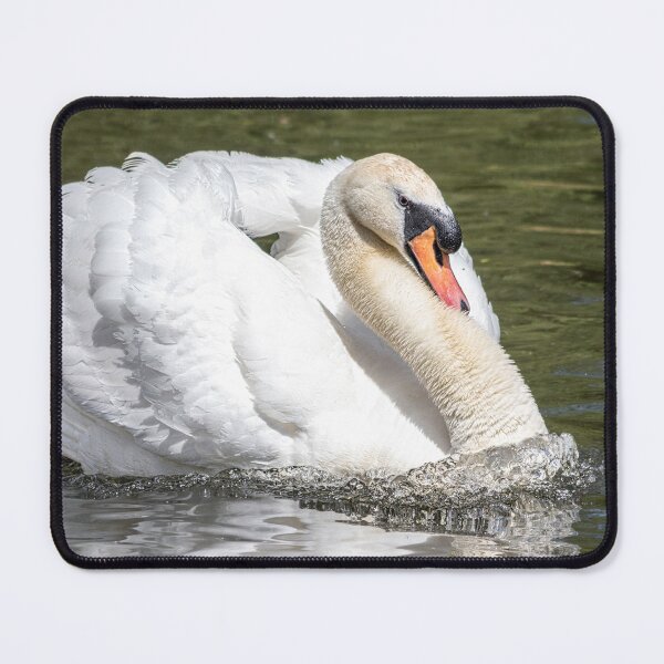 Item preview, Powerful Elegant swan with wings open designed and sold by HaleyRedshaw.
