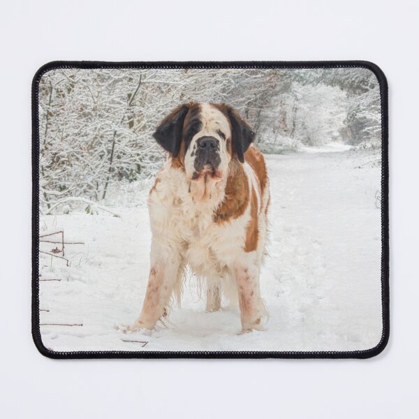 Item preview, St Bernard dog in the snow designed and sold by HaleyRedshaw.