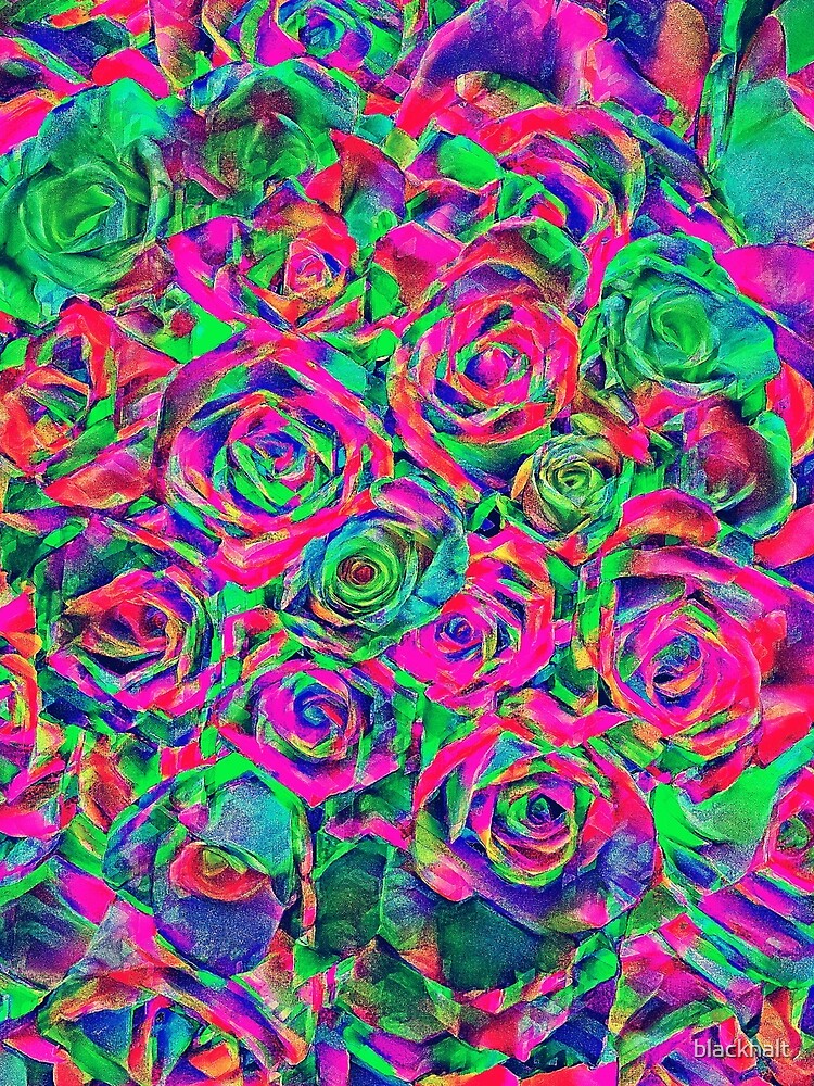 Roses by blackhalt