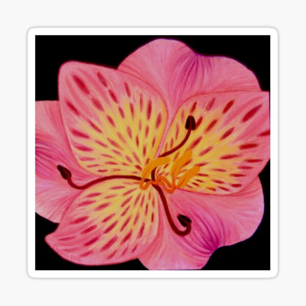 Lily art design, pink lily, flower art, tiger lily, pink floral print Sticker