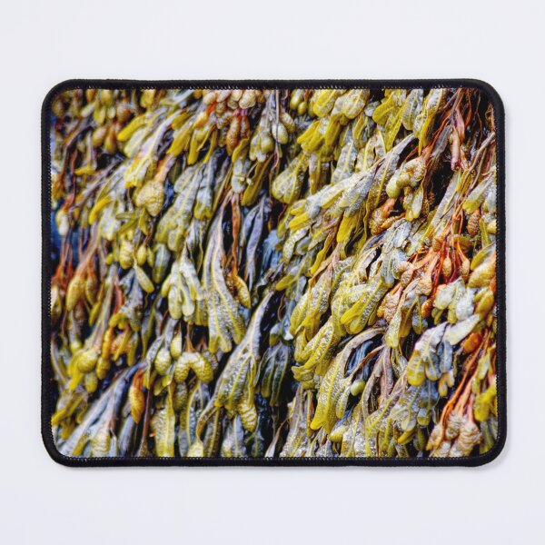 Item preview, Vibrant Seaweed Pattern Hanging Off Rocks designed and sold by Charles Oliver Creations.