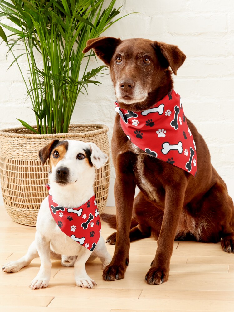 Dog on sale bone bandana