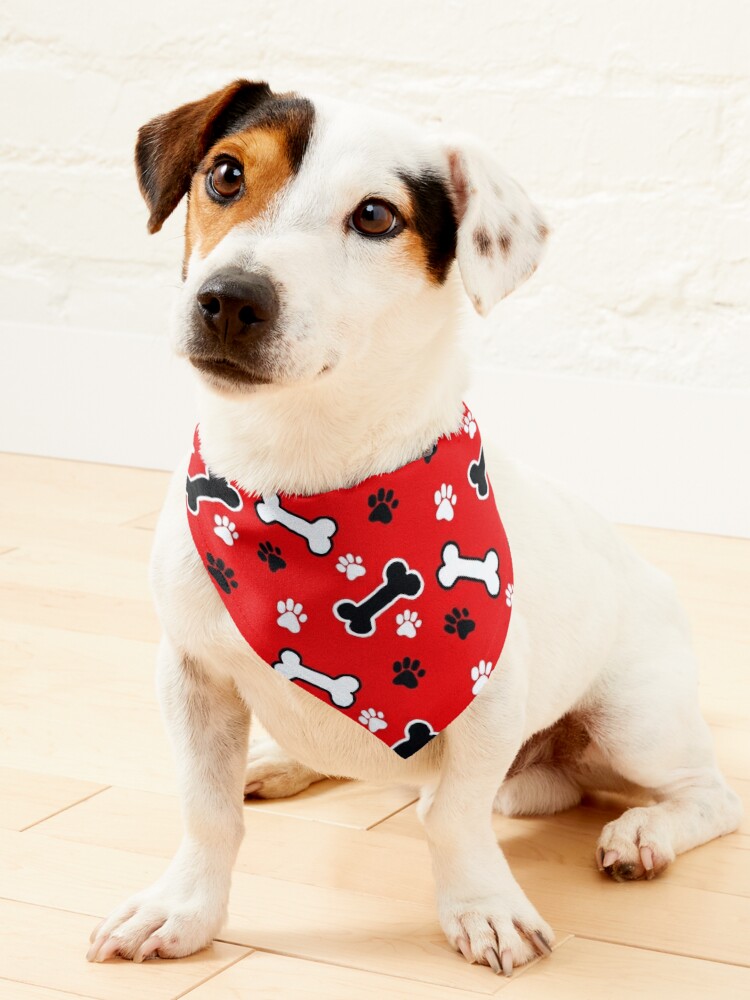 Dog bone bandana new arrivals