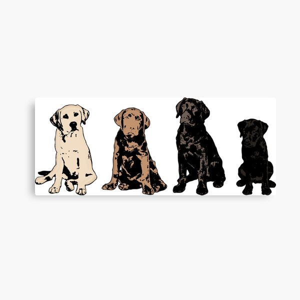 Rainbow of Puppy Love Canvas Print