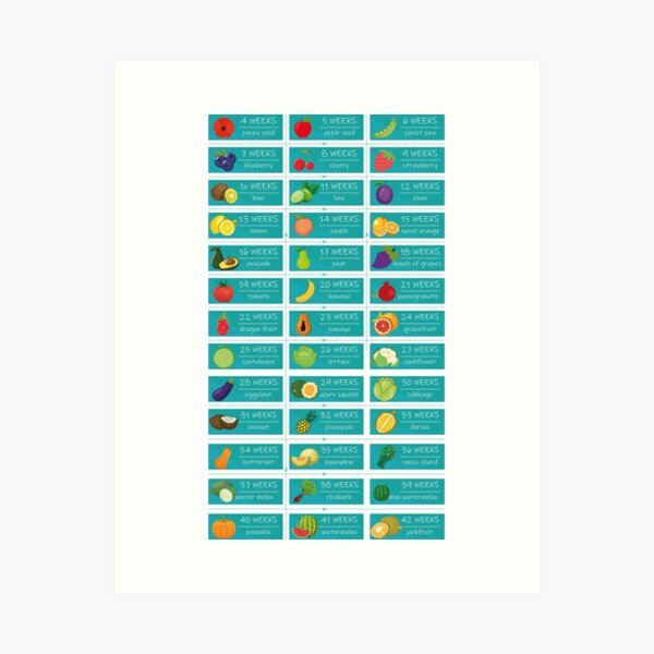 Item preview, Pregnancy Planner Stickers Fruit designed and sold by mevvo.