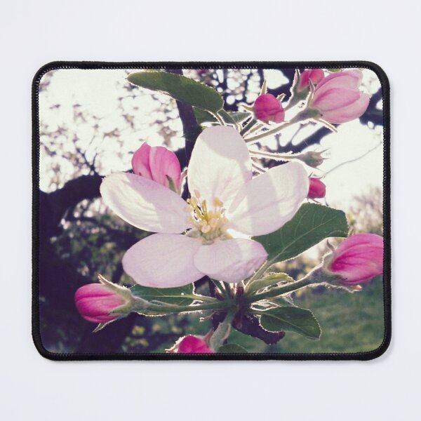 Item preview, White And Pink Flowering Spring Tree designed and sold by The Glasses Girl.
