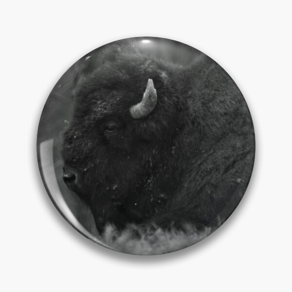 Item preview, The Beast of the Plains designed and sold by mfsphotographs.