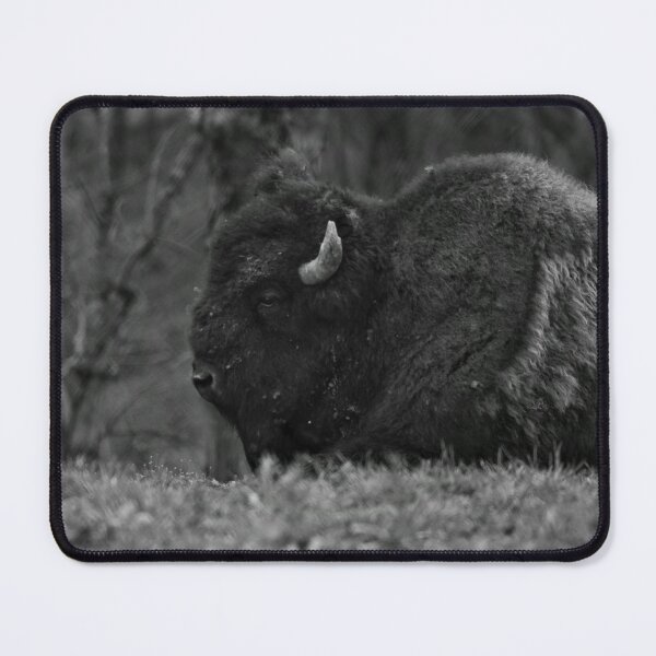 Item preview, The Beast of the Plains designed and sold by mfsphotographs.