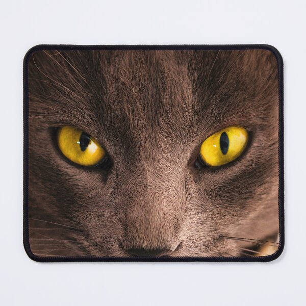 Item preview, Cat eyes designed and sold by authenticwords.