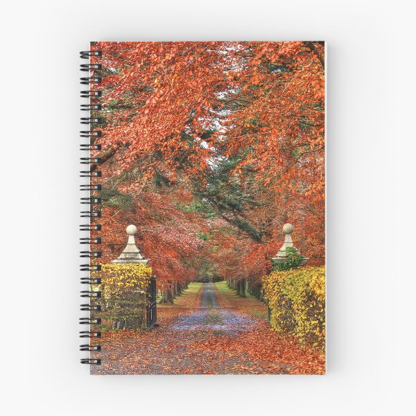 Item preview, Meet Me At The Beech Leaf Gates Autumn Fairy Tale   designed and sold by OBTImaging.