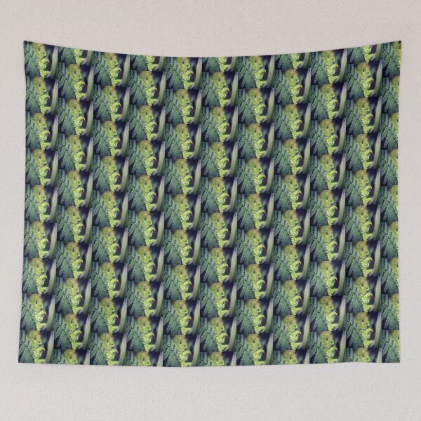 Item preview, Lush green ferns designed and sold by Jonesyinc.