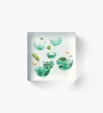 the hovering ponds. Acrylic Block