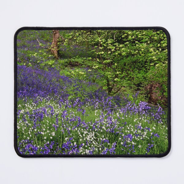 Item preview, English Wildflower Woodland in Spring designed and sold by Martyn R Arnold Fine Art Nature & Landscape Photography.