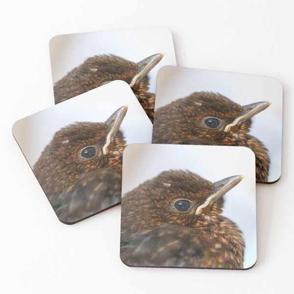 Item preview, Blackbird fledgling close up designed and sold by GreyFeatherPhot.