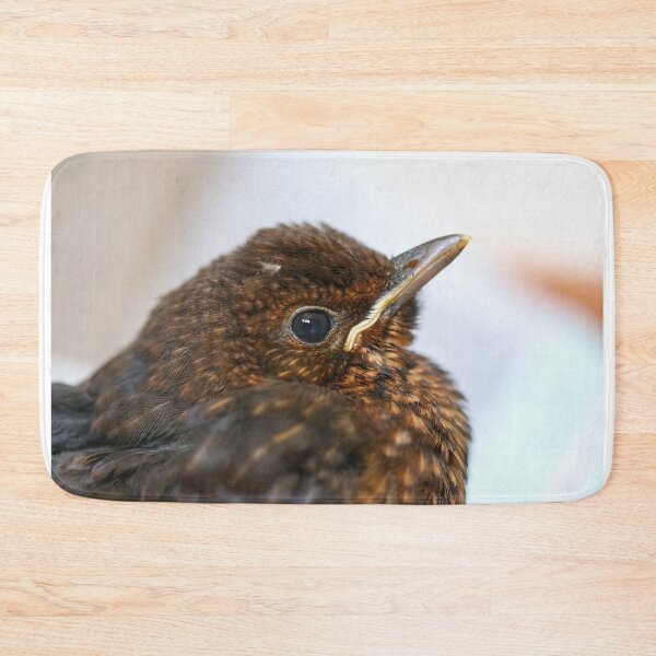 Item preview, Blackbird fledgling close up designed and sold by GreyFeatherPhot.