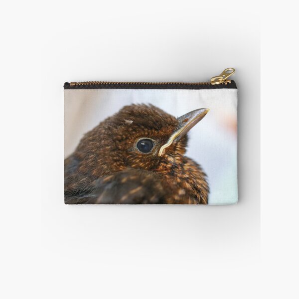 Item preview, Blackbird fledgling close up designed and sold by GreyFeatherPhot.