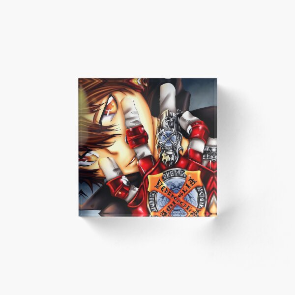 Katekyo hitman reborn Acrylic Block