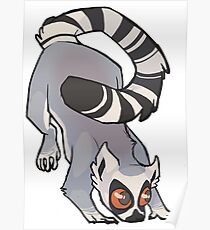 Ring-tailed lemur Poster